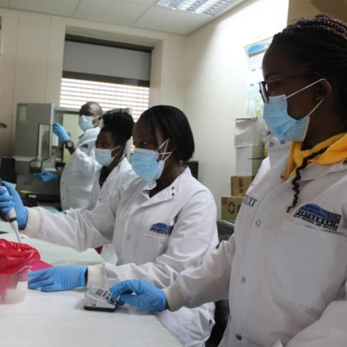 Since early 2021, researchers at the BHP lab have genome sequenced some 2,300 SARS-CoV-2 virus samples [Courtesy: Botswana Harvard Partnership]